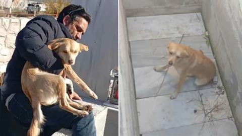 Διασώστης έβγαλε σκύλο από τάφο: «κάποιος τον πέταξε, δεν μπορεί να μπήκε μόνος του»